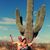 Shannon Erickson's profile image