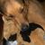 Chelsea Spriggs's profile image