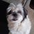 Bob Peterson's profile image