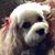Jennifer Ledbetter's profile image