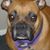 Eddie Geary's profile image