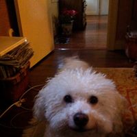 Nancy Kellond's profile image