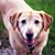 Norrine Kahler's profile image