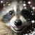Anna Zumwalt's profile image