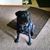 Beverly Hogg's profile image