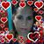 Rossy Beltran Marroquin's profile image