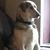Kathleen Smith's profile image