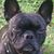 Kelley Eddington Magana's profile image