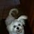 Ruthie Halter's profile image