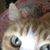 Colleen Bryan's profile image