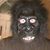Chris Franklin's profile image