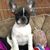Dawn Weatherly's profile image