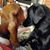 Diane Heidegger Gaspard's profile image