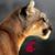 Sheila McDougall's profile image
