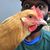 Fred Kirkland III's profile image