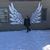Cole W. Chernushin's profile image