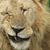 Jennifer Purdon's profile image