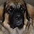 Rosemary McNulty-Hurley's profile image