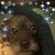 Peggy Sue's profile image