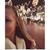 Meredith Monson's profile image