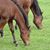 Cindy Hudak Sackett's profile image