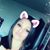 Shawnee Laake's profile image