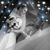 Martha Cooper Suronen's profile image