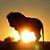 Kelly Owen Krieg's profile image