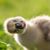 Lynn Wilder Sedlacek's profile image