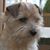 Jayne Berman Dubin's profile image