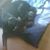 Barbara Sullivan's profile image