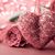 Rosemary Valenza Capuder's profile image