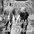 Sherry Miesner's profile image