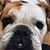 Joan Bargholz's profile image
