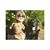 Janice Quistad's profile image