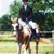 Brittney Williams's profile image