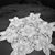 Carolyn Appley's profile image