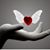 Wanda Hawes's profile image