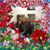 Gail Morris's profile image