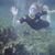 Jacqueline Suzanne's profile image
