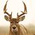 Kim Dyal Strickland's profile image