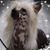 Janette Parker's profile image