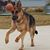 Annette Knipfing's profile image