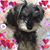 Cathy Adkins's profile image