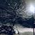 Judith Jean-Baptiste's profile image