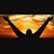 Theodus Scott's profile image