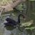 Michele Taylor's profile image