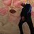 Mason Zinniel's profile image