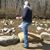 Donald C Rudow's profile image