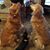 Cathy Morris's profile image